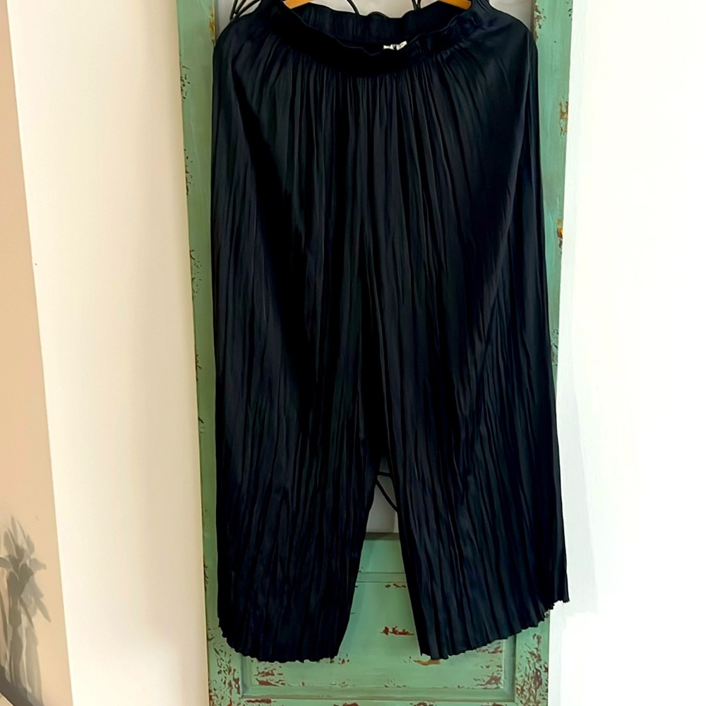 🕷️🕷️🕷️JOIE BLACK PLEATED WIDE LEG PANT SIZE SMALL NWOT 🕷️🕷️🕷️